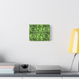 Aglaonema Pictum Canvas Print – Botanical Wall Art