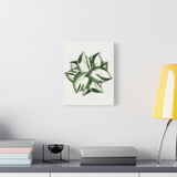 Manjula Pothos Canvas Print – Botanical Wall Art