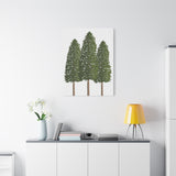 Ponderosa Pine Canvas Print – Wall Art