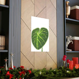Philodendron Gloriosum Botanical Print – Unframed Wall Art