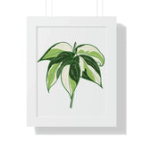 Philodendron Cream Splash Framed Print – Botanical Wall Art