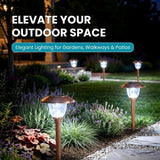 Solar garden lights in a garden setting with text 'Elevate Your Outdoor Space'.