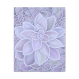 Graptopetalum Murasaki Succulent Pattern Canvas Print – Botanical Wall Art