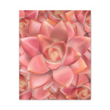 Graptosedum California Sunset Succulent Pattern Canvas Print – Botanical Wall Art