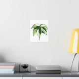 Philodendron Cream Splash Botanical Print – Unframed Wall Art