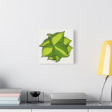 Philodendron Brasil Canvas Print – Botanical Wall Art