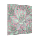 Echeveria Violet Queen Succulent Pattern Canvas Print – Botanical Wall Art
