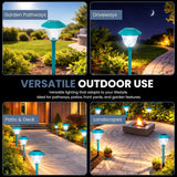 Solar-powered outdoor lights demonstrating versatility in garden pathways, driveways, patio & deck, and landscapes.