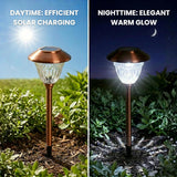 Solar-powered garden light showing efficient daytime charging and elegant nighttime glow.