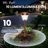 Energizer 10 Pack Solar Pathway LED Lights Outdoor ( Copper )