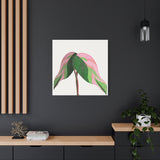 Pink Princess Philodendron Canvas Print – Botanical Wall Art