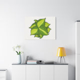 Philodendron Brasil Canvas Print – Botanical Wall Art