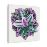 Tradescantia Nanouk Canvas Print – Botanical Wall Art