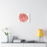 Graptosedum California Sunset Succulent Canvas Print – Botanical Wall Art