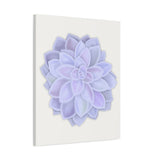 Graptopetalum Murasaki Succulent Canvas Print – Botanical Wall Art