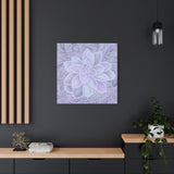Graptopetalum Murasaki Succulent Pattern Canvas Print – Botanical Wall Art