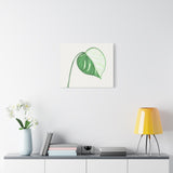 Monstera Albo Canvas Print – Botanical Wall Art