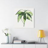 Philodendron Cream Splash Canvas Print – Botanical Wall Art