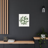 Manjula Pothos Canvas Print – Botanical Wall Art