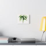 Philodendron Cream Splash Canvas Print – Botanical Wall Art