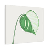 Monstera Albo Canvas Print – Botanical Wall Art
