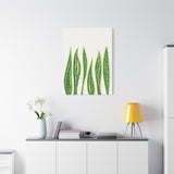 Snake Plant Canvas Print – Botanical Wall Art
