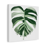 Melting Monstera Albo Canvas Print – Botanical Wall Art