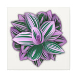 Tradescantia Nanouk Canvas Print – Botanical Wall Art