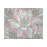 Echeveria Violet Queen Succulent Pattern Canvas Print – Botanical Wall Art