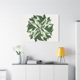 Calathea White Fusion Canvas Print – Botanical Wall Art