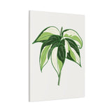Philodendron Cream Splash Canvas Print – Botanical Wall Art