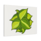 Philodendron Brasil Canvas Print – Botanical Wall Art