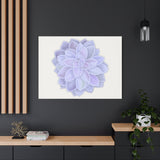 Graptopetalum Murasaki Succulent Canvas Print – Botanical Wall Art