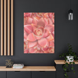 Graptosedum California Sunset Succulent Pattern Canvas Print – Botanical Wall Art