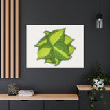 Philodendron Brasil Canvas Print – Botanical Wall Art