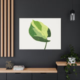 Manjula Pothos Illustrated Canvas Print – Botanical Wall Art