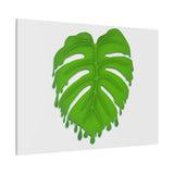 Melting Monstera Canvas Print – Botanical Wall Art