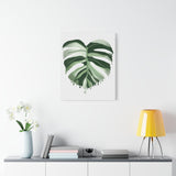Melting Monstera Albo Canvas Print – Botanical Wall Art