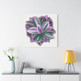 Tradescantia Nanouk Canvas Print – Botanical Wall Art