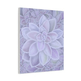 Graptopetalum Murasaki Succulent Pattern Canvas Print – Botanical Wall Art