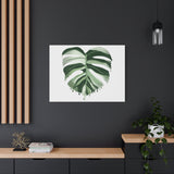 Melting Monstera Albo Canvas Print – Botanical Wall Art