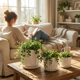Woman reading a book on a couch with potted plants on a coffee table. 3-Piece White Ceramic Planter Pot Set with Fluted Design & Saucers