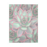 Echeveria Violet Queen Succulent Pattern Canvas Print – Botanical Wall Art