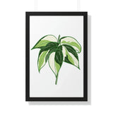 Philodendron Cream Splash Framed Print – Botanical Wall Art