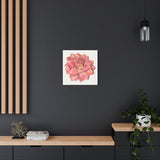 Graptosedum California Sunset Succulent Canvas Print – Botanical Wall Art