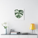 Melting Monstera Albo Canvas Print – Botanical Wall Art
