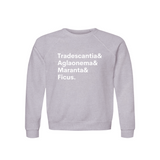 Tradescantia, Aglaonema, Maranta & Ficus Plant Lover Sweatshirt – Organic Cotton Raglan