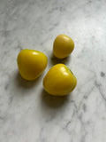 25 Chupon de Malinalco Tomatillo Seeds, Heirloom Mexican Variety, Salsa & Fresh Eating
