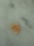 Pineapple Ground Cherry Seeds – Heirloom Husk Cherry, Sweet Tropical Flavor