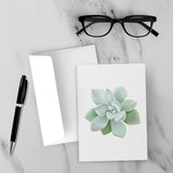 Pachyveria Haagei Succulent Greeting Card – Blank Inside With Envelope